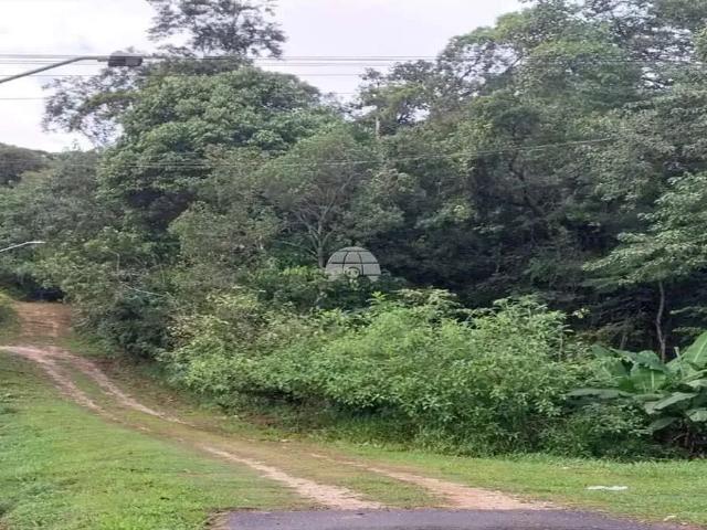 Terreno venda em Região Geográfica Imediata de Paranaguá, Antonina