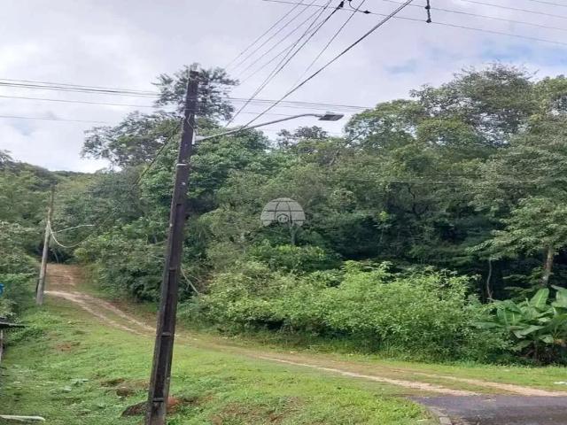 Terreno venda em Região Geográfica Imediata de Paranaguá, Antonina