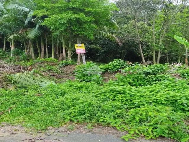 Terreno venda em Região Geográfica Imediata de Paranaguá, Antonina