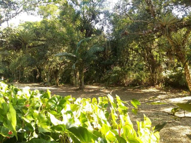 Terreno venda em Região Geográfica Imediata de Paranaguá, Antonina
