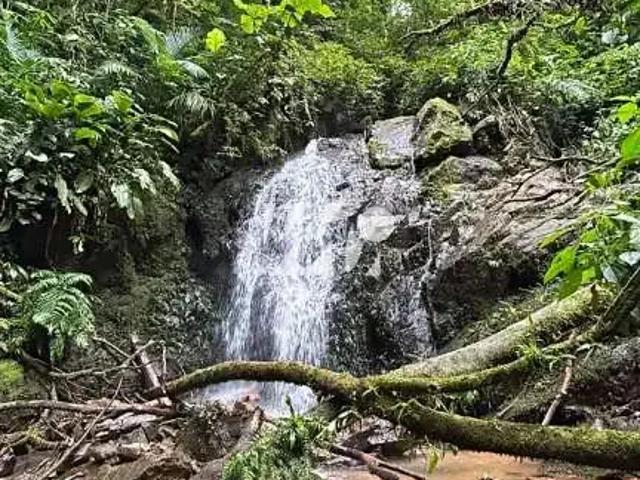 Terreno venda em Região Geográfica Imediata de Florianópolis, Antônio Carlos
