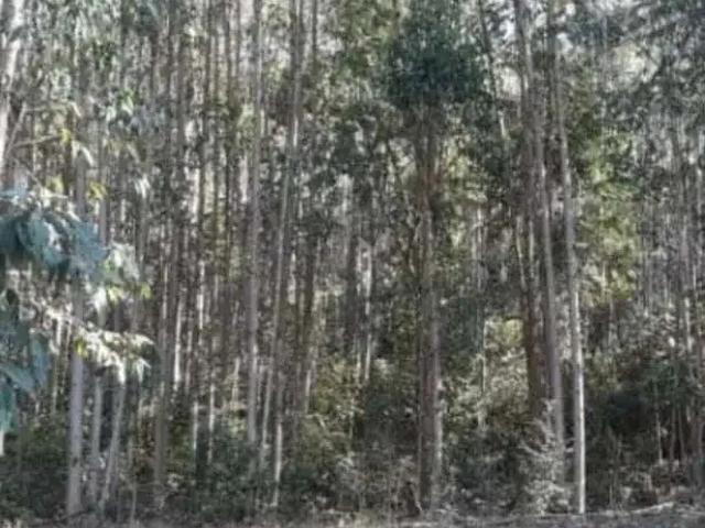 Terreno venda em Região Geográfica Imediata de Ipatinga, Antônio Dias