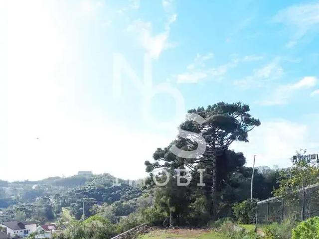 Terreno venda em Região Geográfica Imediata de Caxias do Sul, Antônio Prado