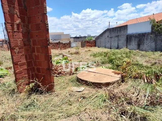 Terreno venda em Região Geográfica Imediata de Goiânia, Aparecida de Goiânia