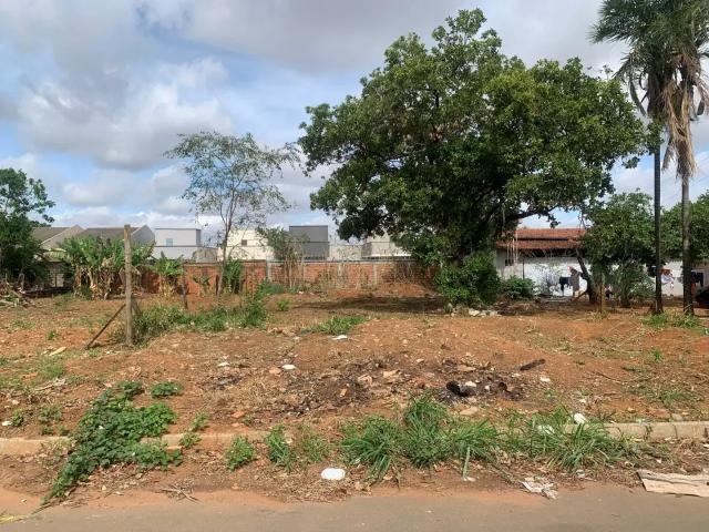 Terreno venda em Região Geográfica Imediata de Goiânia, Aparecida de Goiânia