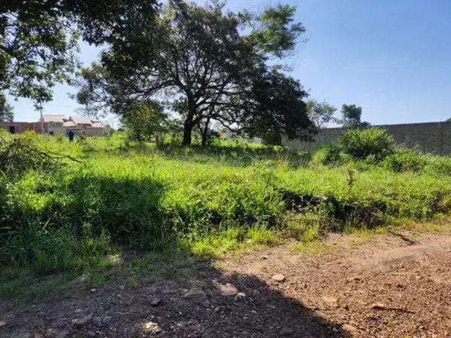 Terreno venda em Região Geográfica Imediata de Goiânia, Aparecida de Goiânia