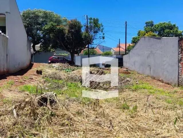 Terreno venda em Região Geográfica Imediata de Apucarana, Apucarana