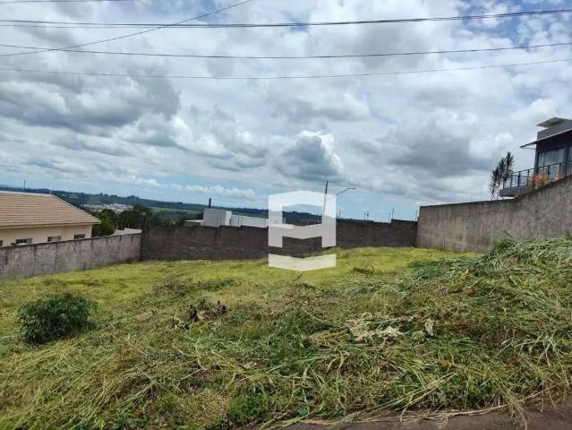 Terreno venda em Apucarana, Região Geográfica Intermediária de Londrina