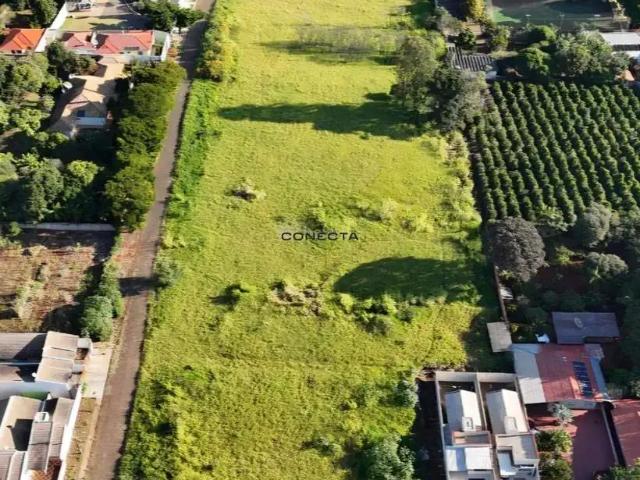 Terreno venda em Região Geográfica Imediata de Apucarana, Apucarana