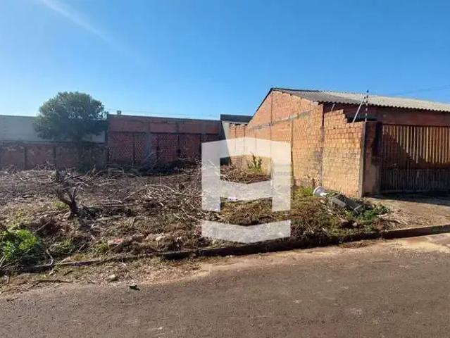Terreno venda em Região Geográfica Imediata de Apucarana, Apucarana
