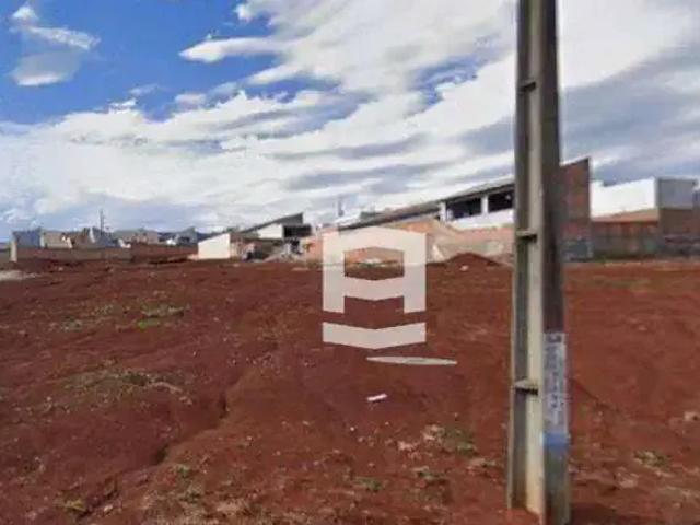Terreno venda em Região Geográfica Imediata de Apucarana, Apucarana