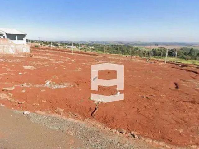 Terreno venda em Região Geográfica Imediata de Apucarana, Apucarana