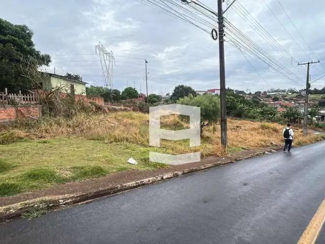 Terreno venda em Região Geográfica Imediata de Apucarana, Apucarana