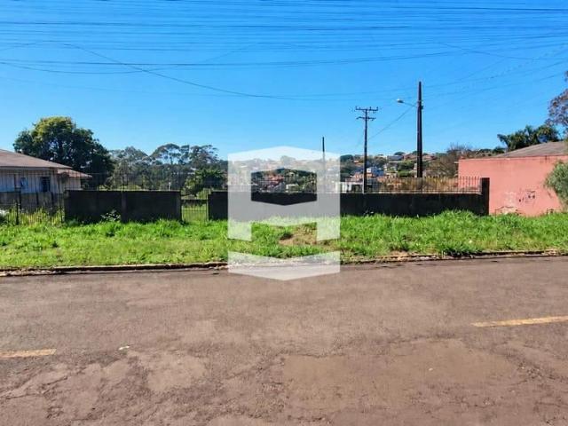 Terreno venda em Apucarana, Região Geográfica Intermediária de Londrina