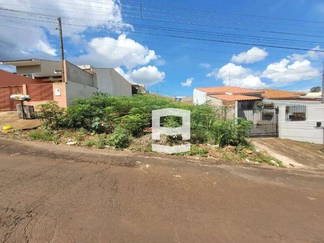 Terreno venda em Região Geográfica Imediata de Apucarana, Apucarana