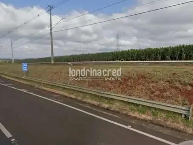 Terreno venda em Região Geográfica Imediata de Apucarana, Apucarana