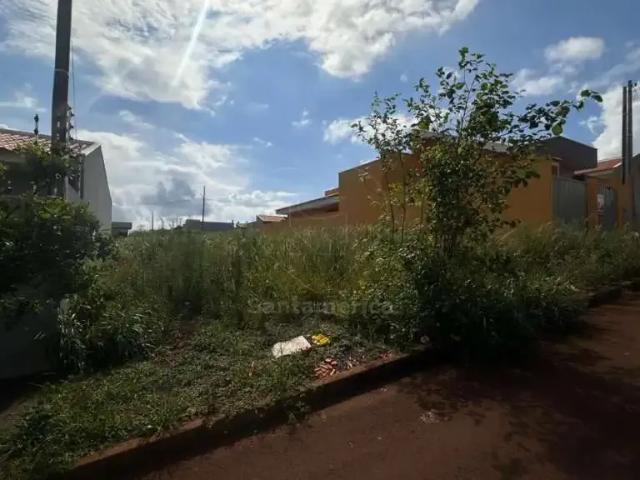 Terreno venda em Região Geográfica Imediata de Apucarana, Apucarana