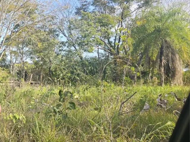 Terreno venda em Região Geográfica Imediata de Aquidauana - Anastácio, Aquidauana