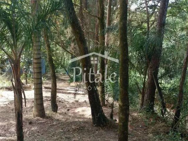 Terreno venda em Região Geográfica Imediata de Currais Novos, Acari