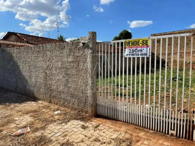 Terreno venda em Região Imediata de Araçatuba, Araçatuba