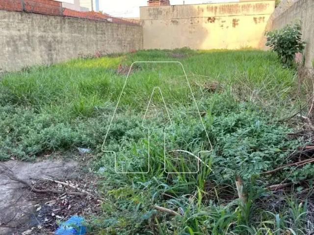 Terreno venda em Região Imediata de Araçatuba, Araçatuba