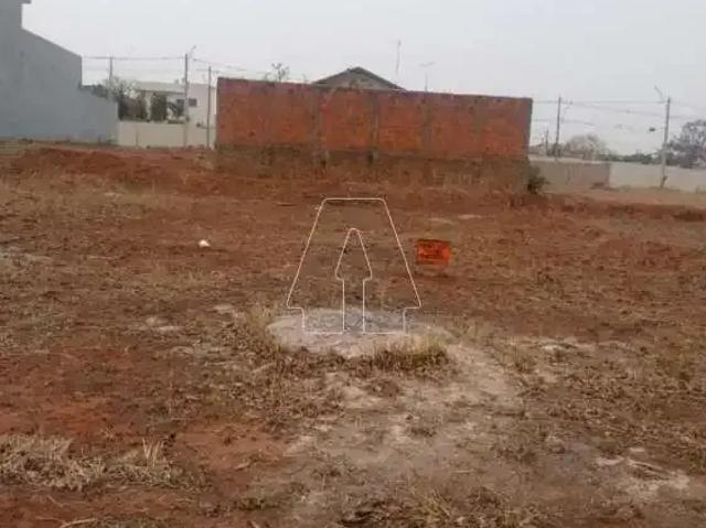 Terreno venda em Região Imediata de Araçatuba, Araçatuba