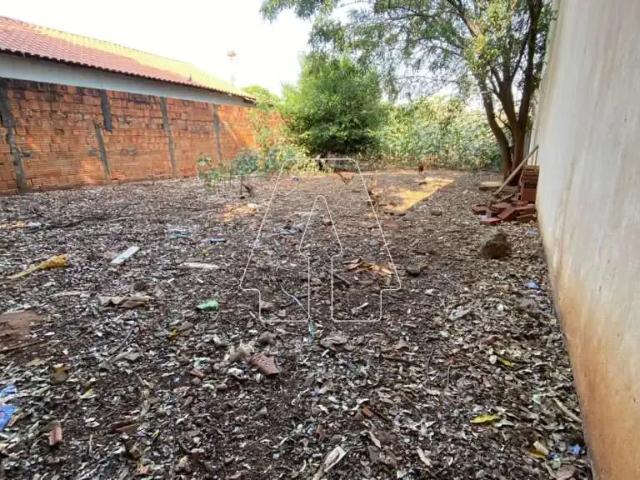 Terreno venda em Região Imediata de Araçatuba, Araçatuba