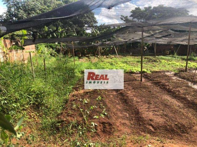 Terreno venda em Região Imediata de Araçatuba, Araçatuba