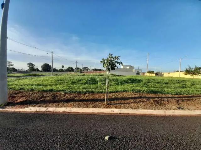 Terreno venda em Região Imediata de Araçatuba, Araçatuba