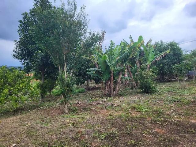 Terreno venda em Região Imediata de Sorocaba, Região Metropolitana de Sorocaba