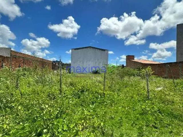 Terreno venda em Lot. Jardim dos Coqueiros, Aracaju