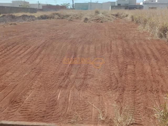 Terreno venda em Centro, Araguari