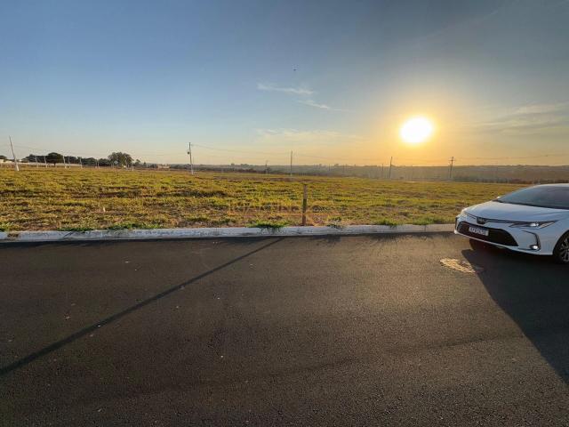 Terreno venda em Centro, Araguari