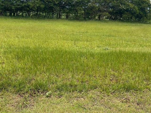 Terreno venda em Arandu