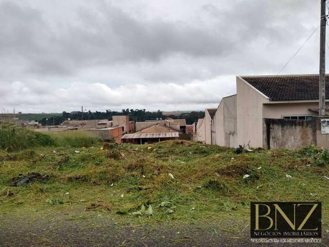 Terreno venda em Região Geográfica Imediata de Cascavel, Cascavel