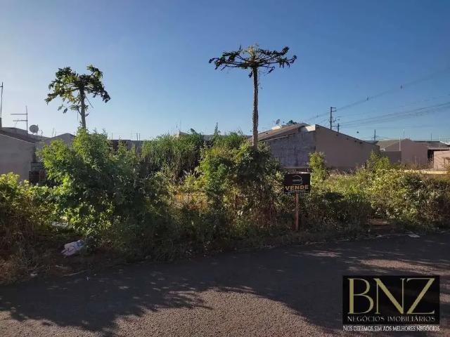 Terreno venda em Região Geográfica Imediata de Londrina, Arapongas