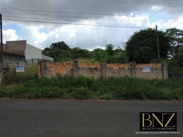 Terreno venda em Arapongas, São João Terreno venda em Arapongas, São João