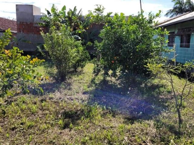 Terreno venda em Barra do Itapocu, Araquari