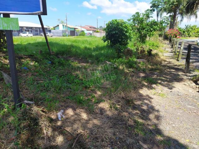 Terreno venda em Centro, Araquari