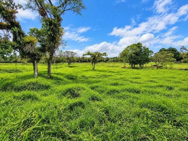 Terreno venda em Centro, Araquari