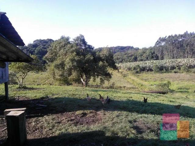 Terreno venda em Região Geográfica Imediata de Joinville, Araquari