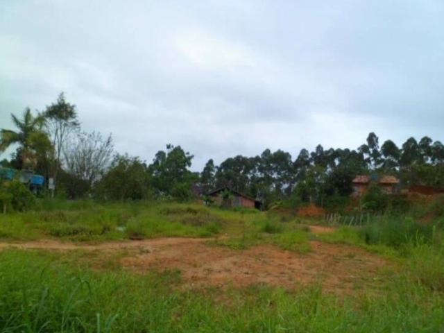 Terreno venda em Aratinga, Araquari