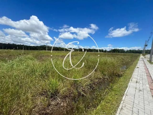 Terreno venda em Região Geográfica Imediata de Joinville, Araquari