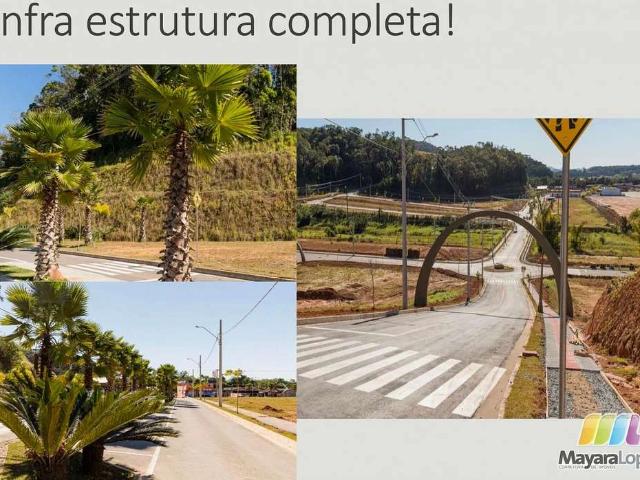 Terreno venda em Atlântico Sul, Araquari