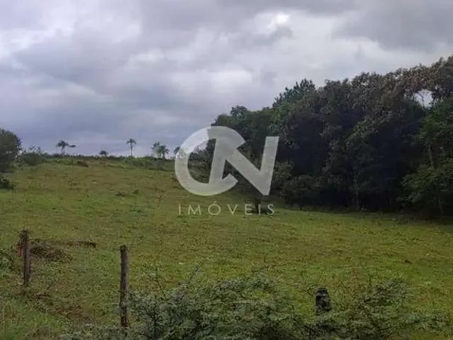 Terreno venda em Porto Grande, Araquari