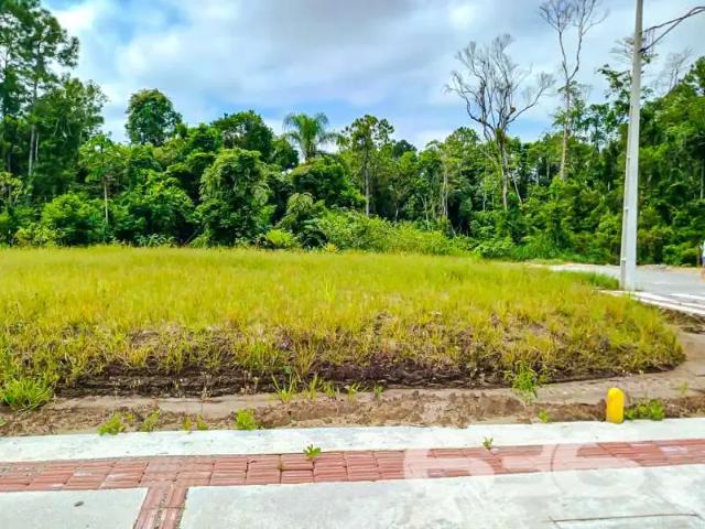 Terreno venda em Região Geográfica Imediata de Joinville, Araquari