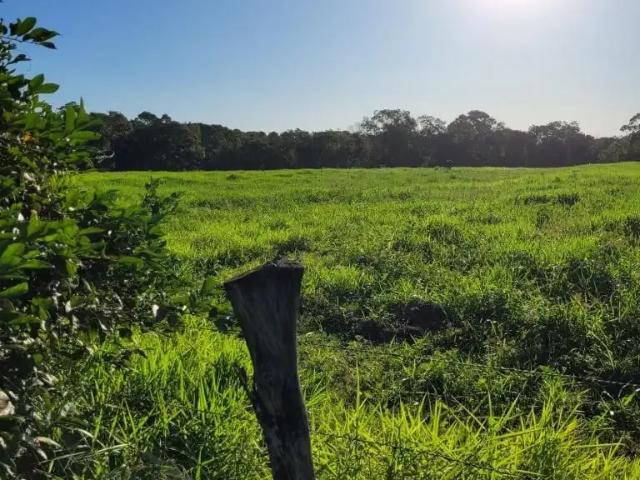 Terreno venda em Região Geográfica Imediata de Joinville, Araquari