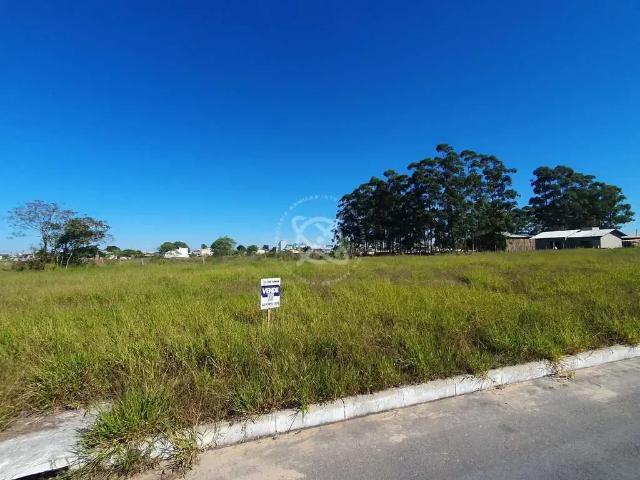 Terreno venda em Região Geográfica Imediata de Araranguá, Araranguá