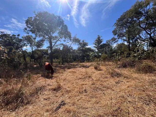 Terreno venda em Região Imediata de Araraquara, Araraquara
