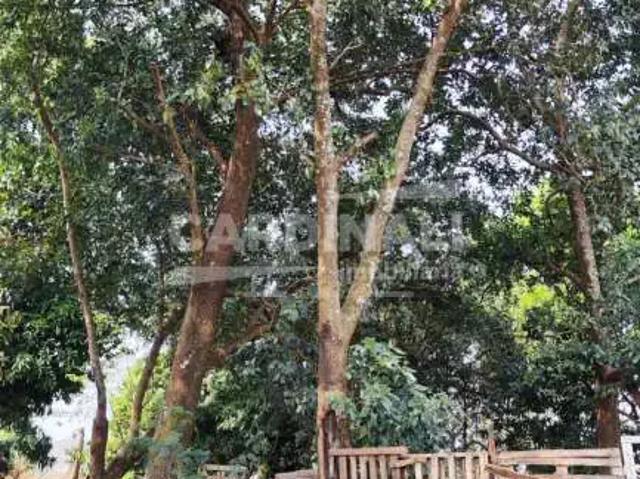 Terreno venda em Região Imediata de Araraquara, Araraquara